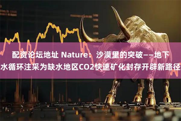 配资论坛地址 Nature：沙漠里的突破——地下水循环注采为缺水地区CO2快速矿化封存开辟新路径