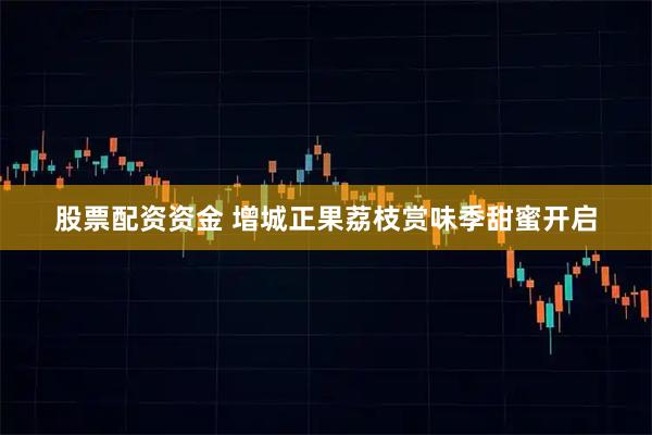 股票配资资金 增城正果荔枝赏味季甜蜜开启