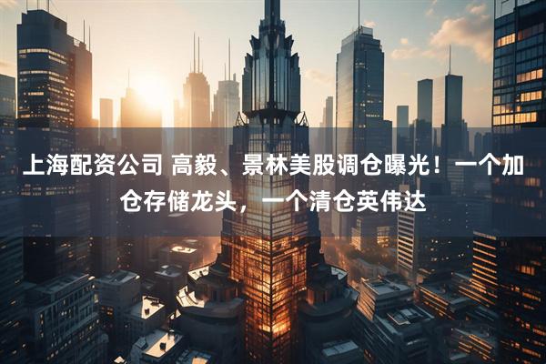 上海配资公司 高毅、景林美股调仓曝光！一个加仓存储龙头，一个清仓英伟达